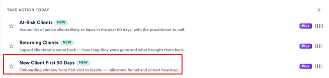 New client first 90 days report 1