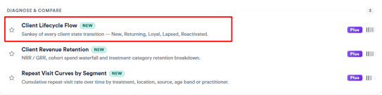 client lifecycle flow report  1