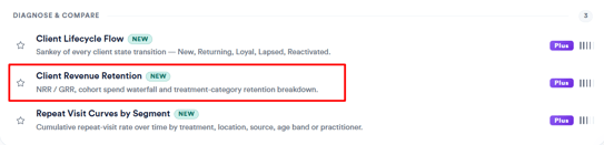 client revenue retention report 1