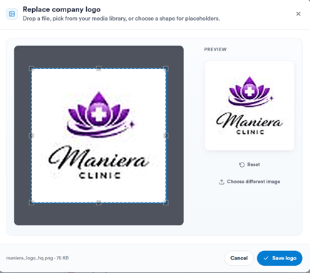 upload a logo 3