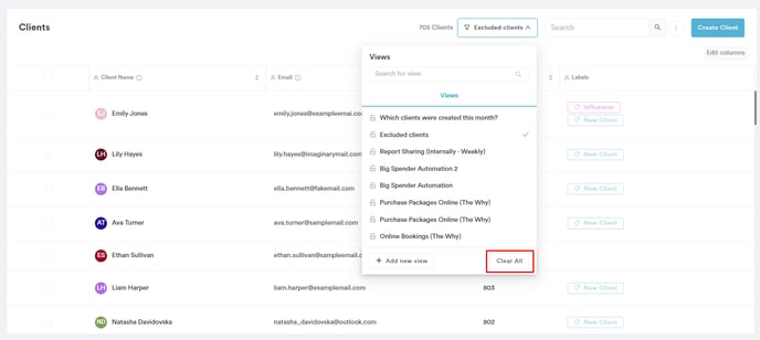 How to Create Client Views_3