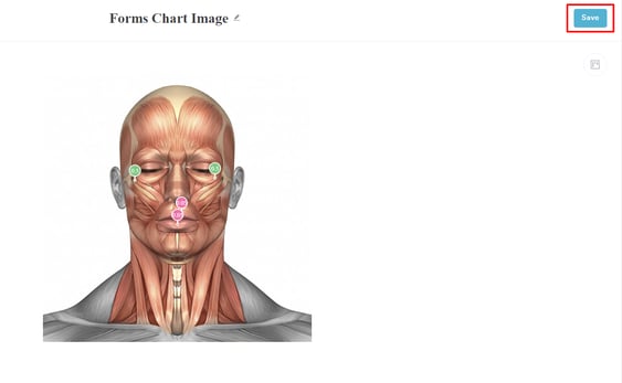 How to Mark Injection Points in a Treatment Note_11