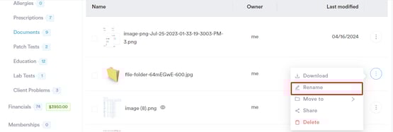 How to Rename a Document_3