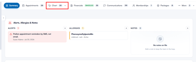How to Use the AI Patient Summary 1