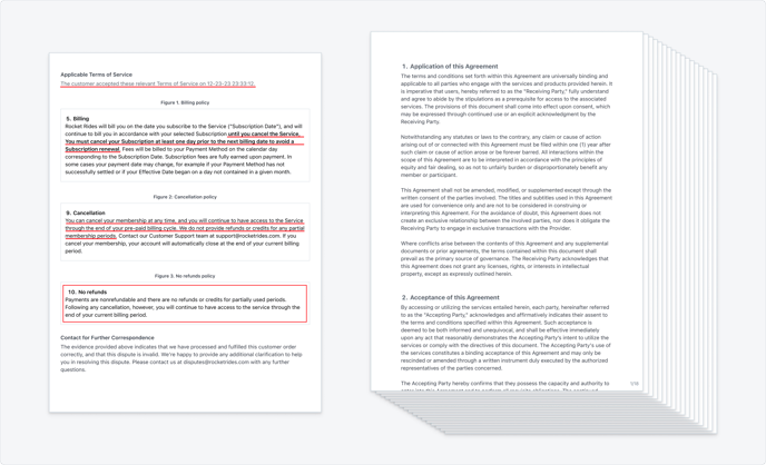 Dispute Response Best Practices_1