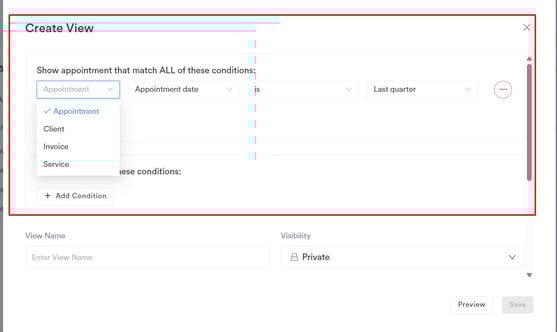 How to Create Custom Views in Invoices, Payments, and Appointments20