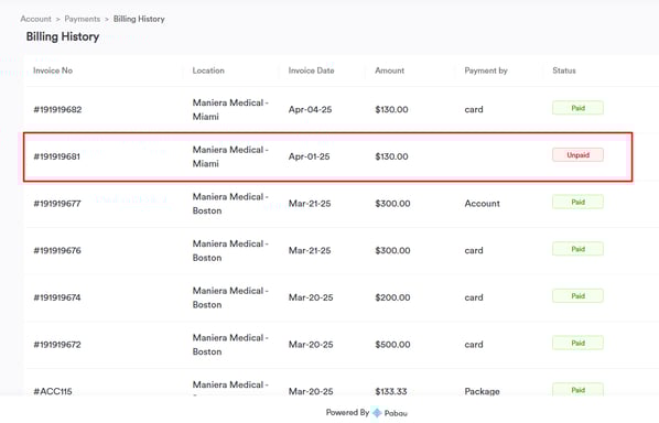 How to Pay an Unpaid Invoice via the Client Portal_3
