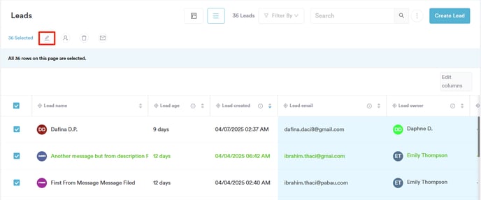 How to Edit Leads in Bulk_2