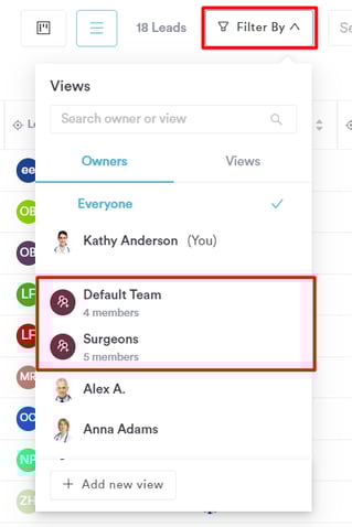 How to Filter by Teams in Leads_1