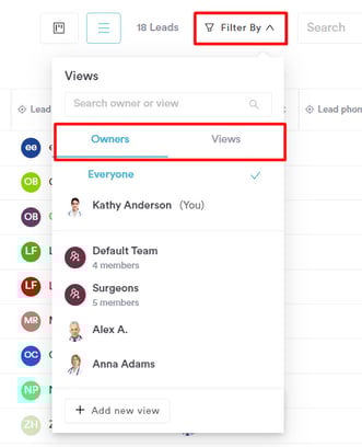 How to View Leads in Default View_1