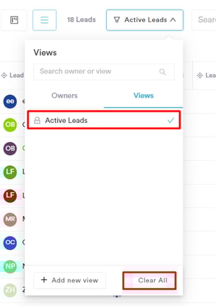 How to View Leads in Default View_2