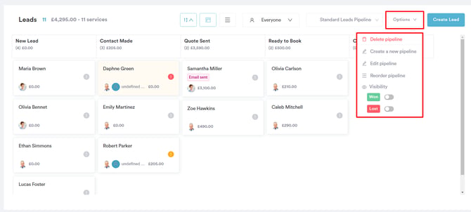 Overview of Lead Pipelines_5