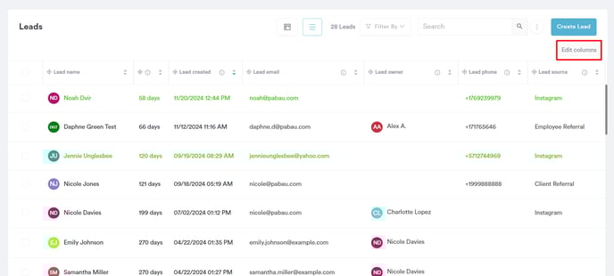 Overview of Leads_2