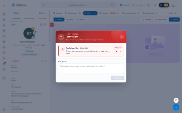 The Client Alerts window with a pinned alert