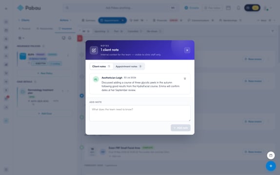 The Client Notes window