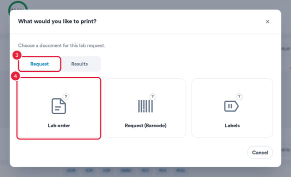 What would you like to print with the Request tab and Lab order marked