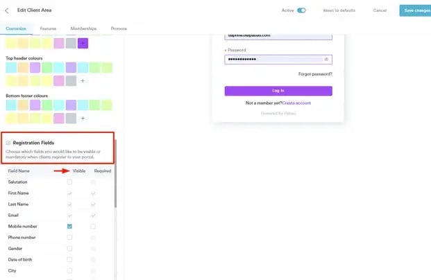 Important Components to Fully Optimize Your Pabau Account-6