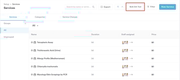 How to Use the Bulk Item Editor for Products, Services, and Packages_9