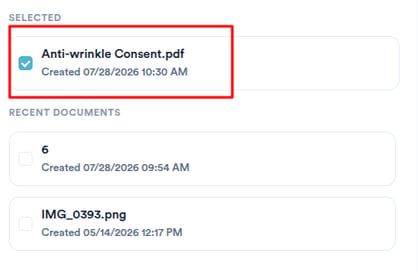 Selected documents and Recent documents lists in the Share Documents panel