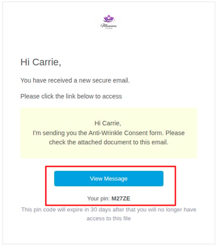 Email received by the client containing the shared documents link and access PIN