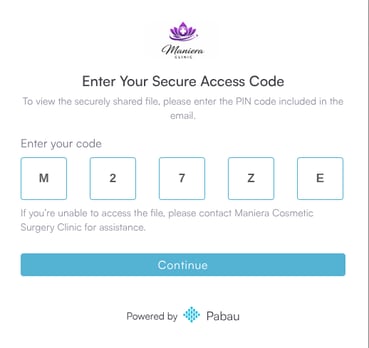 PIN entry screen the client uses to open the shared documents
