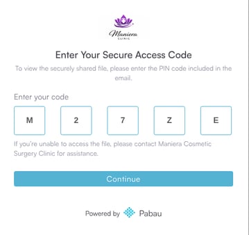 PIN entry screen the client sees before viewing the shared documents
