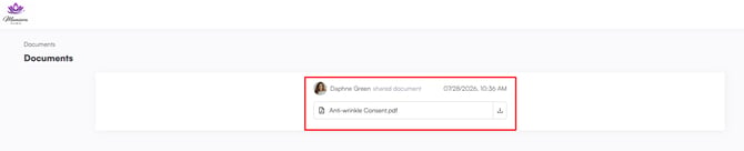 Client Portal showing the securely shared document