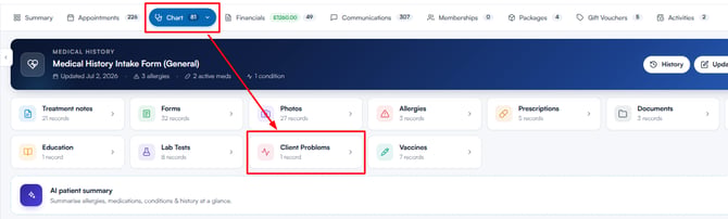 Client Problems card on the EMR overview of the new Client Card