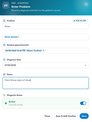 Enter Problem window with the problem details fields