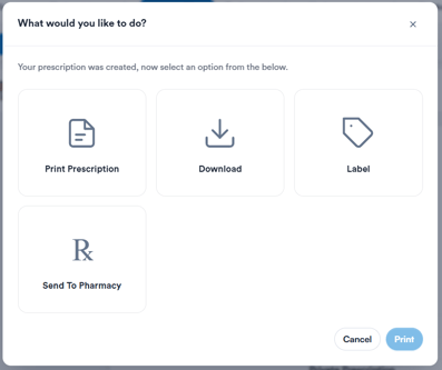 The What would you like to do? print options window