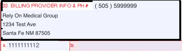 Box 33 of the CMS-1500 claim form with the billing provider name, address, and phone, and the 33a NPI cell
