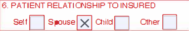 Box 6 of the CMS-1500 claim form with the Self, Spouse, Child, and Other checkboxes
