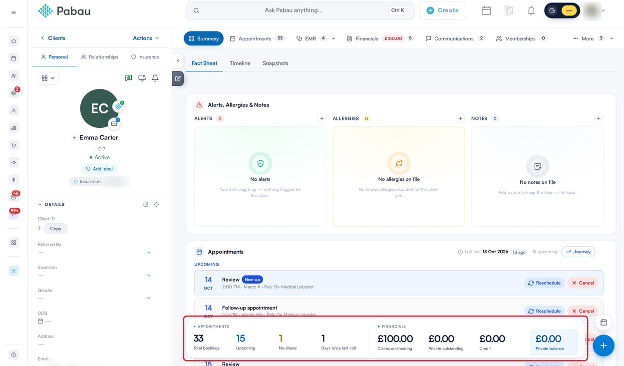 A client card on the Summary tab with the floating statistics bar at the bottom outlined