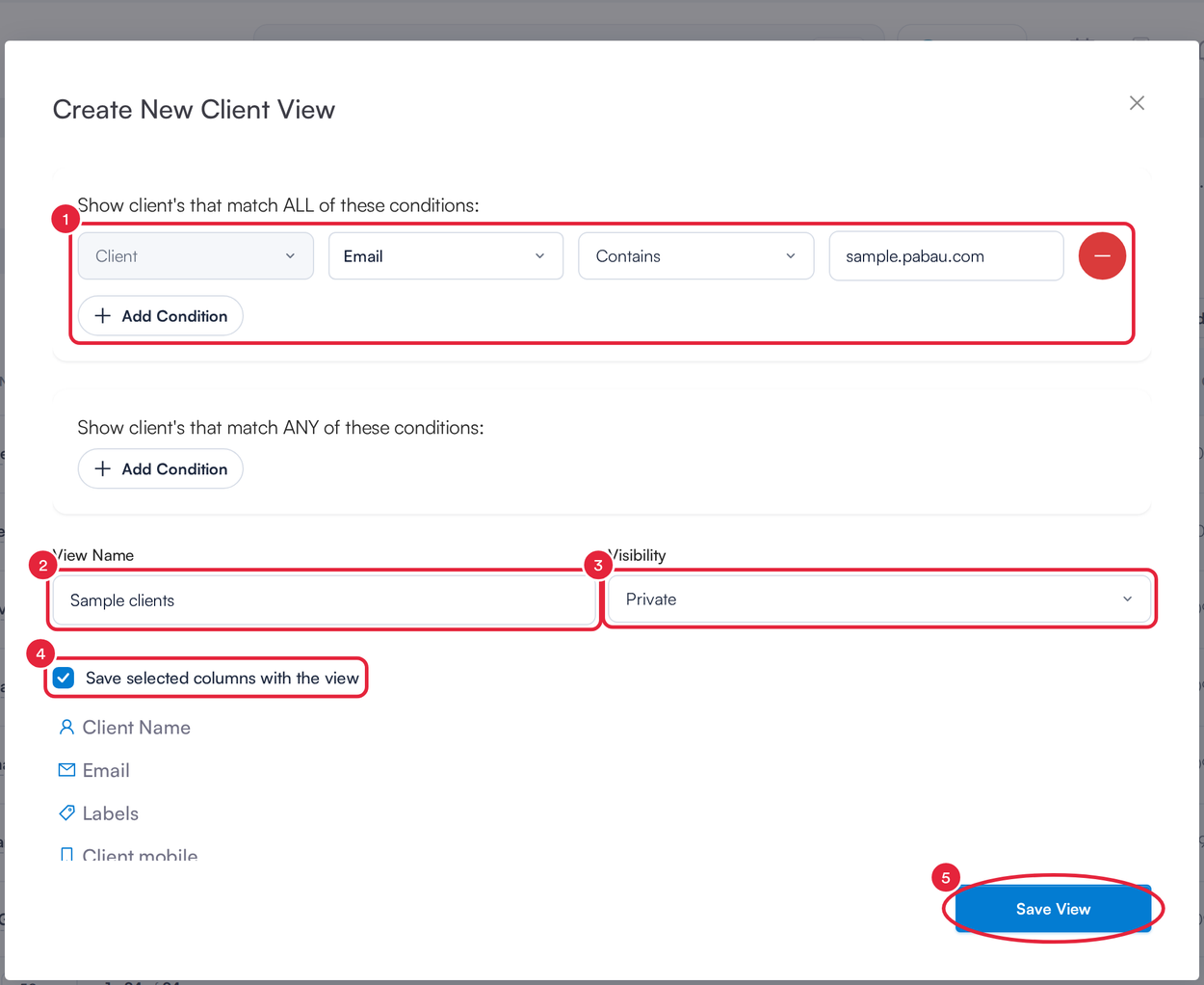 The Create New Client View window with a condition marked 1, View Name marked 2, Visibility marked 3, Save selected columns with the view marked 4 and Save View marked 5