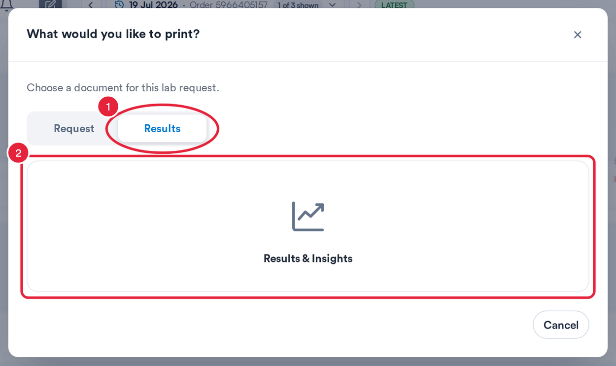 What would you like to print? with the Results tab and Results and Insights marked