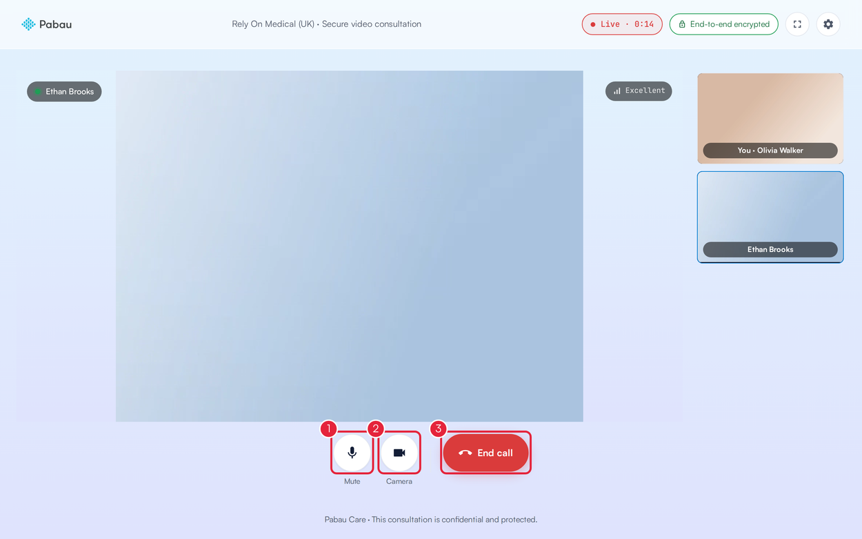 A video consultation from the client's side with the Mute, Camera and End call buttons marked