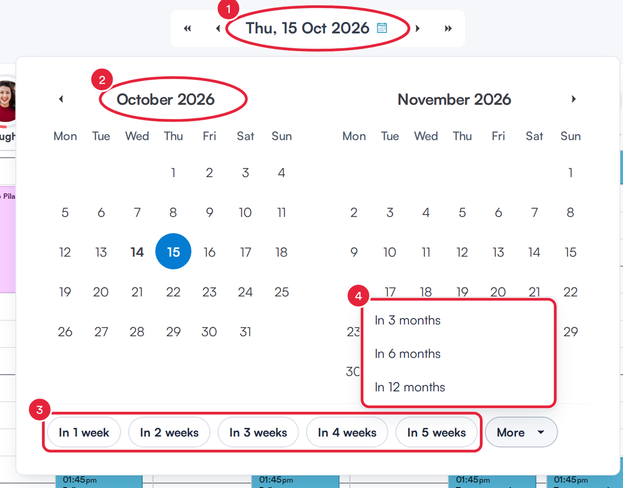 The two-month date panel with the date label, a month name, the In 1 week to In 5 weeks buttons and the More list of month jumps marked