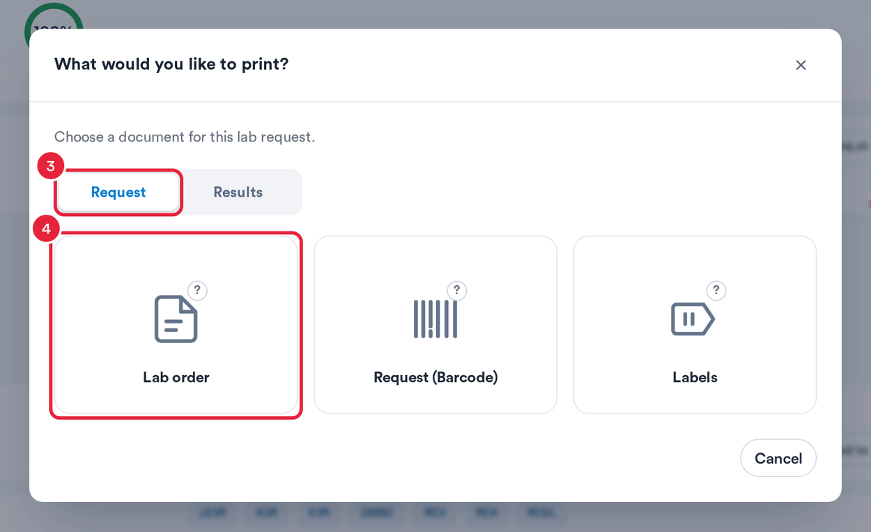 What would you like to print with the Request tab and Lab order marked